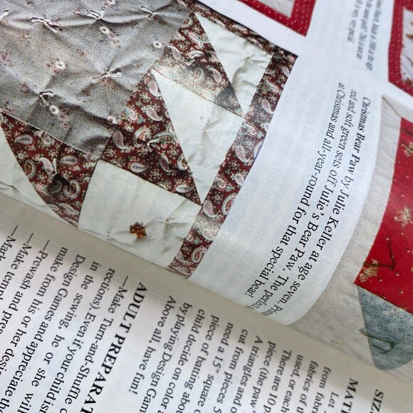 Traditional Quiltworks Magazine 20 Full-Size Patterns Issue No 47 April/May 1999 - Picture 5 of 12